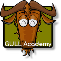 GULL Academy
