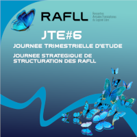 stratégie de structuration des RAFLL