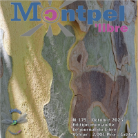 libellule175