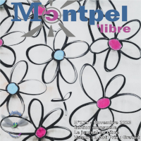 libellule176